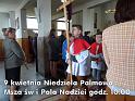 NPalm_suma_D