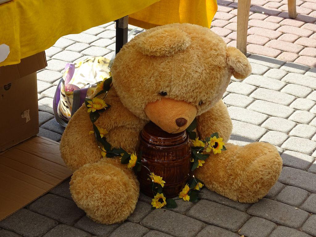 DSC04314.JPG