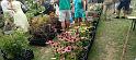 IMG_20260802_140634